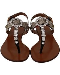 Dolce & Gabbana - Leather Ayers Crystal Sandal Brown La6458 - Lyst