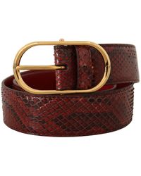 Dolce & Gabbana - Elegant Snakeskin Leather Belt - Lyst