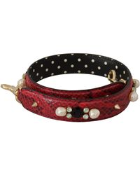 Dolce & Gabbana - Exotic Leather Crystals Bag Shoulder Strap - Lyst