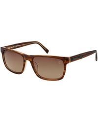 Timberland - Acetate Sunglasses - Lyst