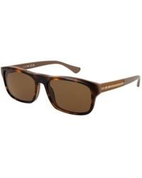 Web - Brown Acetate Sunglasses - Lyst