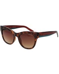 Radley - Brown Polycarbonate Sunglasses - Lyst