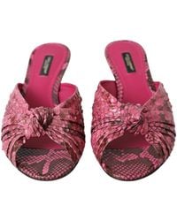 Dolce & Gabbana - Exotic Leather Kitten Heels Slides Shoes Python - Lyst
