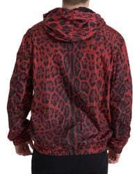 Dolce & Gabbana - Leopard Hooded Bomber Full Zip Jacket Nylon Clothing - Lyst