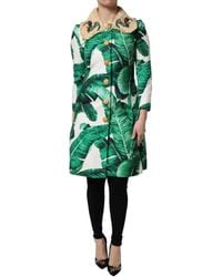 Dolce & Gabbana - Leaf Print Embellished Trenchcoat Jacket - Lyst