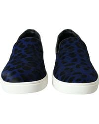 Dolce & Gabbana - Calfskin Hair Leopard Sneakers Shoes - Lyst