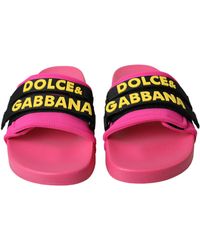Dolce & Gabbana - Cw0115-Ak243-Fuxia - Lyst