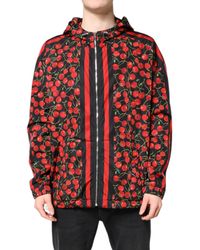 Dolce & Gabbana - Cherry Print Hooded Jacket - Lyst
