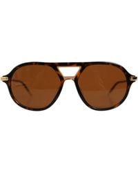 Dolce & Gabbana - Dg4343F Havana Tortoise Eyewear Sunglasses - Lyst