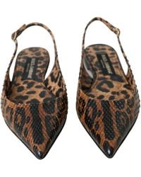 Dolce & Gabbana - Leopard Exotic Skin Slingback Shoes - Lyst
