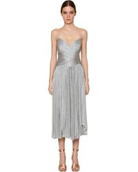 Maria Lucia Hohan Pleated Metallic Mesh Midi Dress - Mettallic