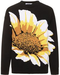 MSGM - Daisy Intarsia Cotton Knit Sweater - Lyst
