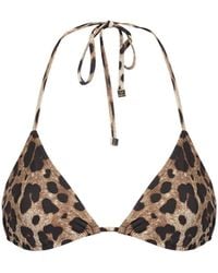 Dolce & Gabbana - Leopard Print Jersey Bikini Top - Lyst