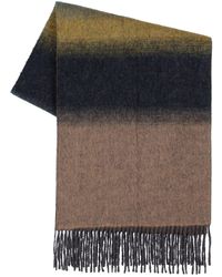 Piacenza Cashmere Scarves and mufflers for Men | Online Sale up to 13% off  | Lyst