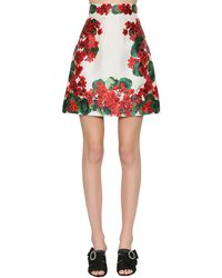 Dolce & Gabbana Minirock Aus Seidenmikado - Rot