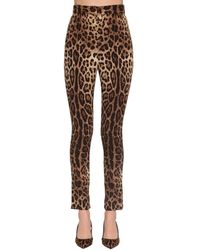 Dolce & Gabbana Pantaloni Vita Alta In Charmeuse - Marrone