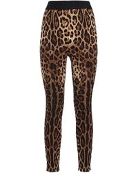 Dolce & Gabbana - Leggings Aus Jersey Mit Leopardendruck - Lyst