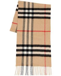 burberry male scarf