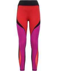 michi tights