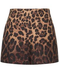 Valentino - Leo Print Crepe Couture High Rise Shorts - Lyst