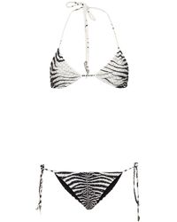 Roberto Cavalli - Zebra ビキニ - Lyst