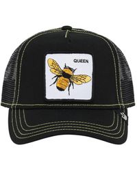 queen bee goorin bros