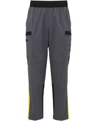north face tech pants