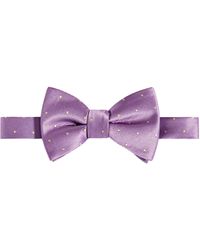 Tayion Collection - & Gold Solid Bow Tie - Lyst