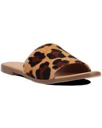 Dingo - Tabby Sandal - Lyst