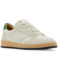 Steve Madden - Piraeus Lace-up Sneakers - Lyst