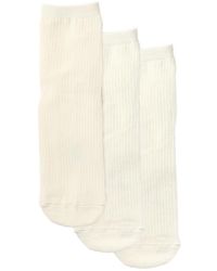 Stems - Ribbed Ankle Socks - Lyst