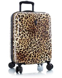 Heys - Fashion 21" Hardside Carry-on Spinner luggage - Lyst