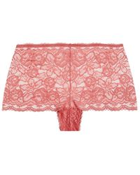 Avenue - Plus Size Lace Cheeky Brief - Lyst