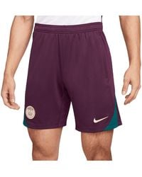 Nike - Paris Saint-germain 2024/25 Strike Shorts - Lyst