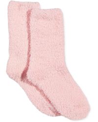 Charter Club Butter Socks, Created For Macy's - Pink