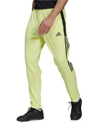 frozen yellow track pants