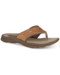 Diplomacy dictionary Ambient Sperry Top-Sider Sandals, slides and flip flops for Men | Online Sale up to  56% off | Lyst