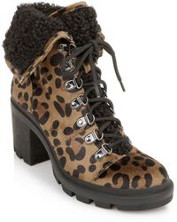 predator 19.3 fg blue