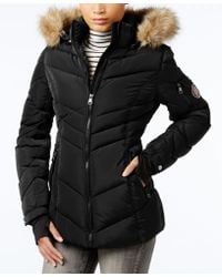 Madden girl jackets Outlet