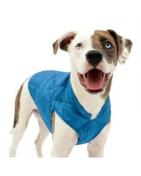 Aronkl - Loft Dog Jacket: Insulated - Lyst