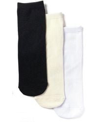 Stems - Ribbed Ankle Socks - Lyst