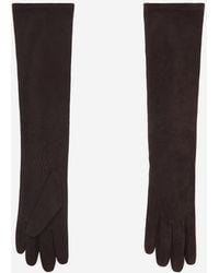 Mango - Long Suede Leather Gloves - Lyst