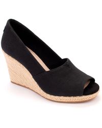 toms