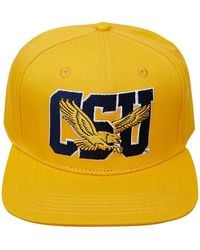 Pro Standard - Gold Coppin State Eagles Evergreen Csu Snapback Hat - Lyst