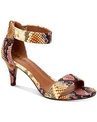 rainbow sandals macys