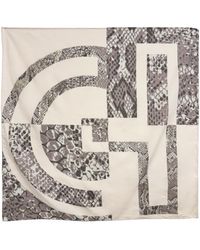 Cole Haan - Snake Print Scarf - Lyst
