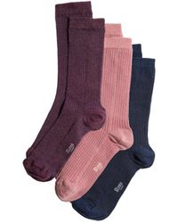 Stems - Eco Conscious Cashmere Socks Box Of Three - Lyst