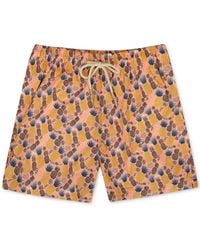 Sunset and Vine - Sunset And Vines Pineapple-pattern Woven Swim Trunks - Lyst