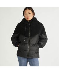 NVLT - Mixed Media Faux Down Puffer - Lyst