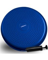 Bintiva - Balance Disc - Lyst